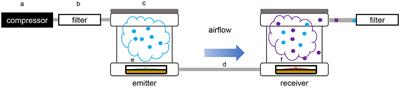 A new system to study directional volatile-mediated interactions reveals the ability of fungi to specifically react to other fungal volatiles